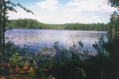 Typische schwedische Landschaft nahe Göteborg. Bäume, Seen und Felsen.